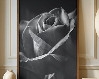 Könnte beinhalten: Schwarz-Weiß-Fotografie einer Rose in voller Blüte, gerahmt in einem dunklen Holzrahmen. Die detaillierten Blütenblätter und sanften Schatten sind deutlich zu sehen. Das Bild steht auf einem Holzschrank.