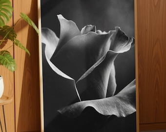 Könnte beinhalten: Schwarz-Weiß-Kunstdruck mit Nahaufnahme einer Rose. Das Bild zeigt die zarten Blütenblätter und Schatten, wodurch ein dramatischer Effekt entsteht. Der Rahmen ist hellgoldfarben, und der Druck lehnt an einer Holzvertäfelung.