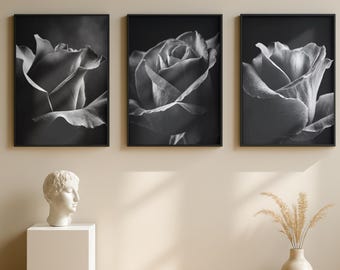 Könnte beinhalten: Drei gerahmte Schwarz-Weiß-Rosen-Drucke. Jeder Druck zeigt eine Nahaufnahme einer Rose in verschiedenen Blühstadien. Das Kunstwerk wird über einem weißen Sockel mit einer Büste und einer Vase mit getrockneten Pflanzen ausgestellt.