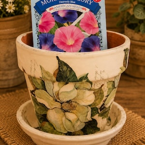 May include: A decorative flower pot with a saucer, featuring a floral design and a packet of Morning Glory seeds. The seed packet displays pink and purple flowers. The pot is off-white with a distressed finish.