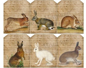 Tagi Vintage Bunny, Pobierz, Wydrukuj arkusz