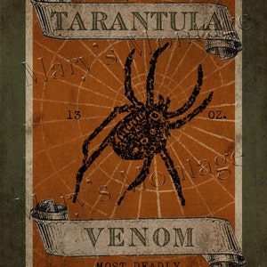 Tarantula Halloween Art, Download, print, 8x10