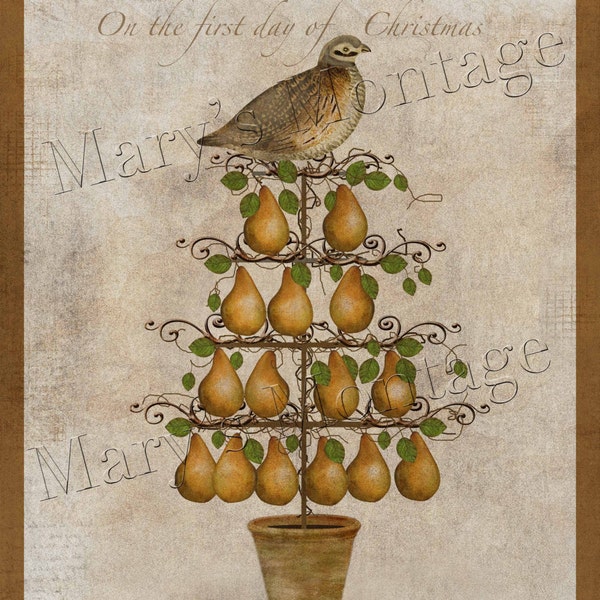 Partridge in a Pear Tree, Digital Art, Original, 8 x10, download, printable