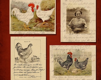 Chicken  Digital Collage sheet/ pack