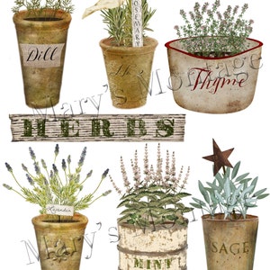 以下が含まれることがあります： さまざまなハーブが植えられた、素朴なテラコッタ製の鉢6個セット。鉢には、ディル、ローズマリー、タイム、ラベンダー、ミント、セージというハーブの名前が書かれたラベルが貼られています。鉢は白い背景に配置され、木製の看板には「ハーブ」と書かれています。