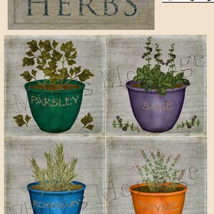 Könnte beinhalten: Vier Töpfe mit Kräutern, auf denen die Namen der Kräuter stehen: Petersilie, Salbei, Rosmarin und Thymian. Die Töpfe sind grün, lila, blau und orange.