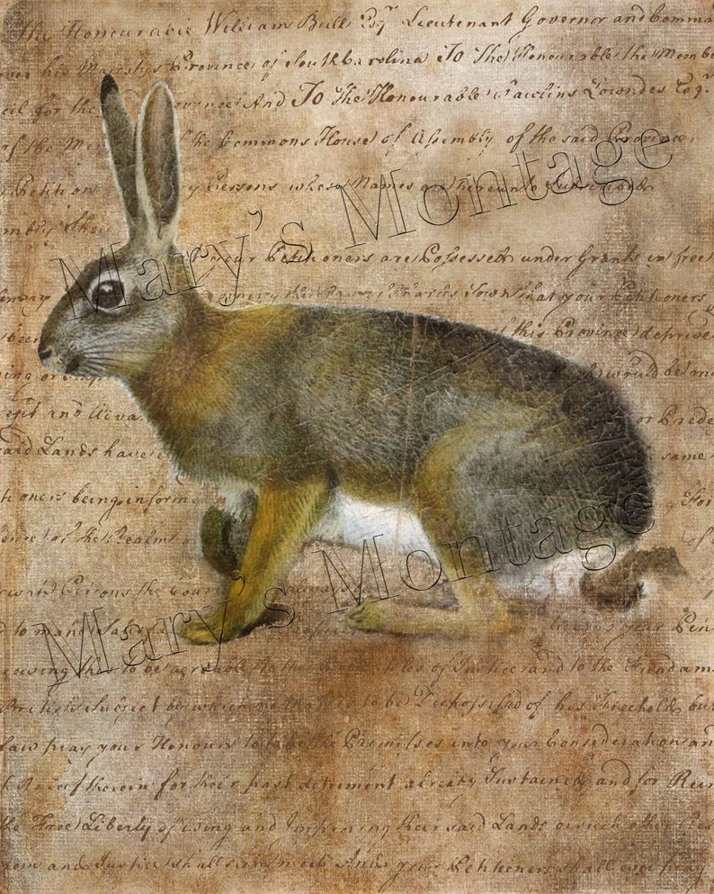 Set of 6 Vintage Rabbit Digital Download Prints 8x10 Etsy