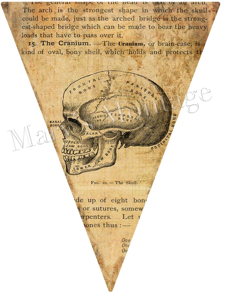 Halloween Bunting Pennant Flags Download Print   5  8.5 x 11 image 5