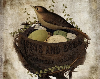 Nest & Eggs, Download Instant Art  Large 16x16, Vintage Grapics Collage