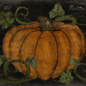 Puede incluir: Una calabaza naranja con superficie texturizada, rodeada de vides y hojas verdes, sobre un fondo oscuro. La palabra "Primitive" está escrita en escritura blanca. La imagen tiene una estética rústica y vintage.