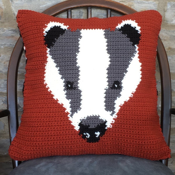 PDF Crochet Pattern - Woodland Friends Badger Cushion