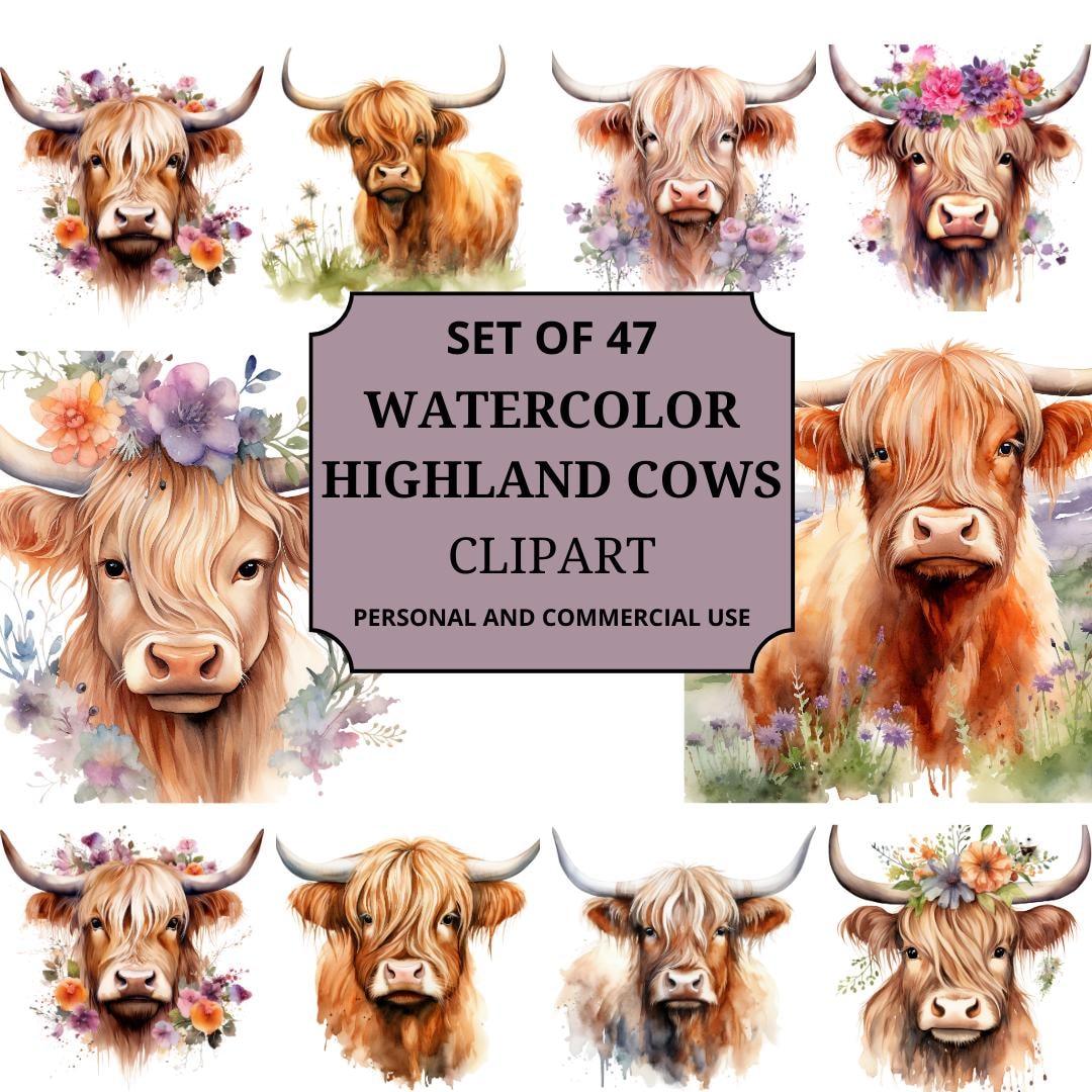 Highland Cow Clipart Bundle 47 Images | Watercolor Floral PNG Set ...