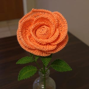 Può includere: Una rosa all'uncinetto arancione fatta a mano in un vaso di vetro trasparente. Il fiore ha petali dettagliati e foglie verdi. La rosa è un oggetto decorativo, perfetto per l'arredamento della casa o come regalo unico.