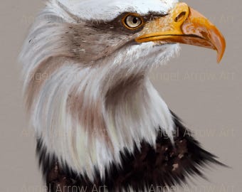 Bald Eagle PNG Clipart Sublimation Design Patriotic Bird Illustration T-Shirt Graphic Digital Download