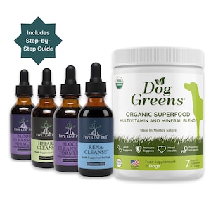Kidney Support Program for Dogs, 3-Week Bundle, Five Leaf Pet Botanicals
