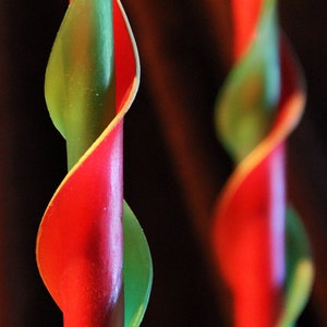 Red and Green Double Spiral Beeswax Candle, Christmas candle, taper candle