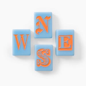 Puede incluir: Cuatro baldosas rectangulares de color azul claro dispuestas en forma de cruz. Cada baldosa presenta una letra naranja en relieve. Las letras son N, W, S y E, que representan los puntos cardinales, con cada letra en un estilo de fuente distinto.