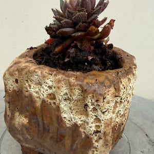 May include: A small, square, ceramic planter with a textured, brown and cream glaze. The planter is filled with soil and a dark red succulent plant. The planter has small feet and a unique, porous surface.