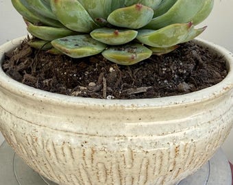 Handmade ceramic succulent/cacti planter,  carved, cream glaze, Wabi Sabi