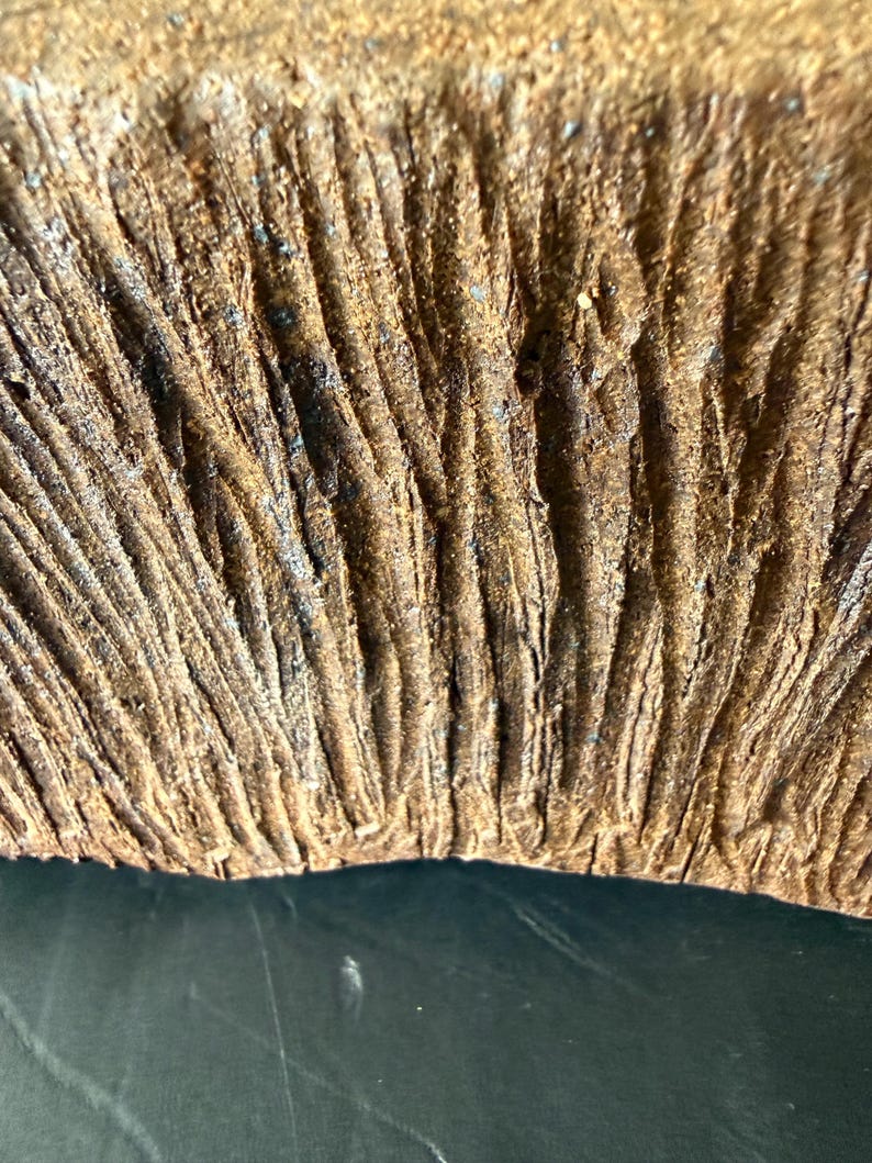 Pu&ograve; includere: Una vista ravvicinata di una superficie in ceramica marrone testurizzata con profondi solchi e creste verticali. Il materiale ha un aspetto ruvido e terroso con variazioni di tono che vanno dal beige chiaro al marrone scuro.