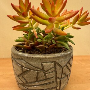 May include: A succulent plant with pointed, fleshy leaves that transition from green at the base to vibrant orange and red at the tips. The plant is potted in a round, gray ceramic planter featuring a textured, geometric pattern of carved lines.