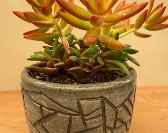 Small handmade ceramic succulent/cacti planter, geometric etching, transparent glaze
