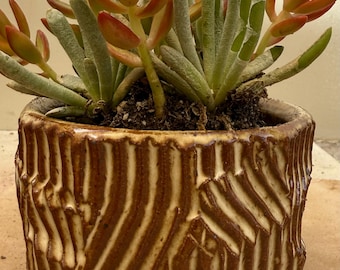 Small handmade ceramic succulent/cacti planter, irregular geometric carvings, brown and white, wabi sabi