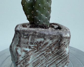 Handmade Kurinuki Ceramic Succulent Planter, Carved, Textured, Green Glaze, Wabi Sabi