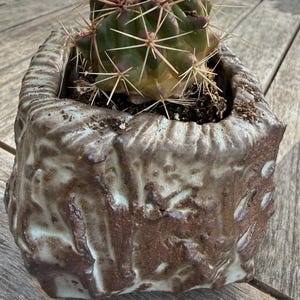 May include: A small, round cactus with red spines and white needles sits in a square, textured ceramic pot. The pot is brown with blue-green accents. The cactus is planted in dark soil, and the pot is on a wooden surface.