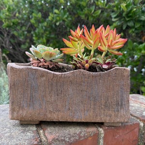 May include: A rectangular, textured brown ceramic planter with a wavy top edge, containing a green succulent on the left and a cluster of orange and yellow-tipped succulents on the right, resting on small feet.