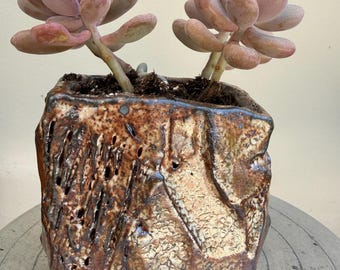 Small handmade ceramic succulent/cacti planter, kurinuki style, carved, textured. shino glaze, wabi sabi