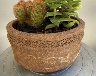 Small handmade ceramic succulent/cacti planter, unglazed, textured, brown/white clay, wabi sabi
