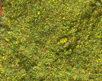 European Summer Basing Blend