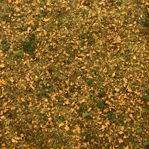 May include: A close-up view of a textured surface composed of dried leaves and green moss. The leaves are a light brown color, and the moss is a vibrant green. The overall effect is a natural, earthy texture.