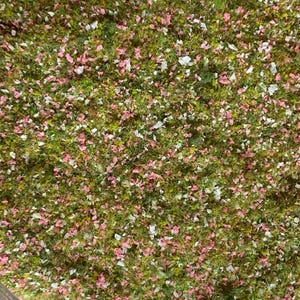 May include: A close-up view of a mix of green, pink, and white decorative materials. The green base is interspersed with small pink and white floral or petal-like elements, creating a textured, natural appearance. Ideal for crafting or model making.