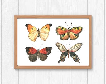 Orange Butterfly Print - Butterfly Wall Art