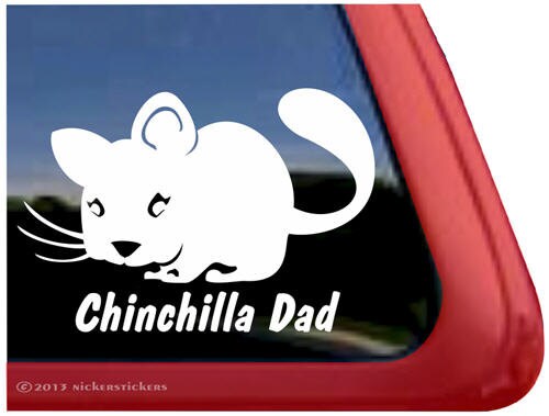 Chinchilla | DC216DAD | High Quality Adhesive Vinyl Window Decal ...