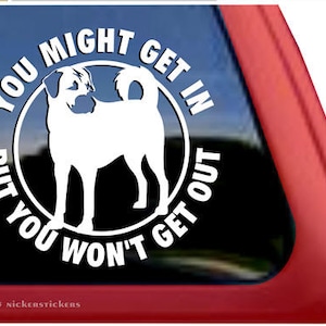 You Might Get In But You Won't Get Out | DC872OUT | High Quality Adhesive Anatolian Shepherd Guard Dog Vinyl Window Decal Sticker