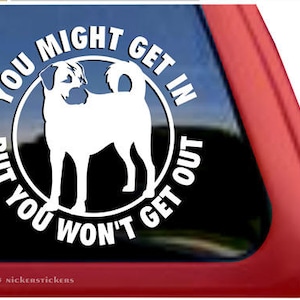 You Might Get In But You Won&#39;t Get Out | DC872OUT | High Quality Adhesive Anatolian Shepherd Guard Dog Vinyl Window Decal Sticker