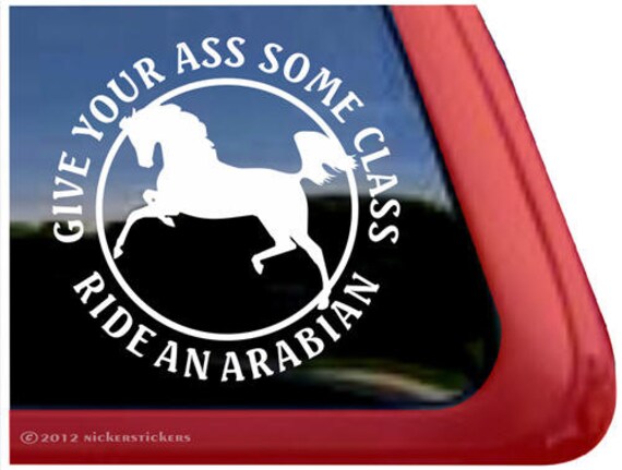 Decal Sticker Appaloosa Horse Put you ass on some class