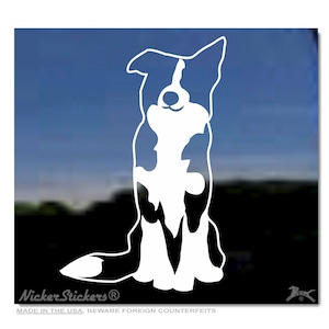 Op de afbeelding: Zwarte en witte silhouet van een Border Collie die zit met zijn oren omhoog. De hond kijkt omhoog en heeft een gelukkige uitdrukking. De afbeelding is op een blauwe achtergrond met de tekst "Nicker Stickers" en "Made in the USA, Beware Foreign Counterfeits" onderaan.