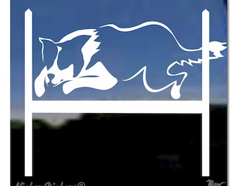 Adesivo personalizzato per cani Border Collie Agility / Adesivo in vinile di alta qualità NickerStickers® per finestre
