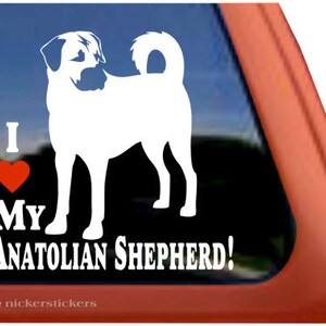 I Love My Anatolian Shepherd! | DC872HEA | High Quality Adhesive Dog Vinyl Window Decal Sticker