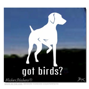 Got Birds?  High Quality Adhesive Vinyl Hungarian Vizsla Dog Window Decal Sticker