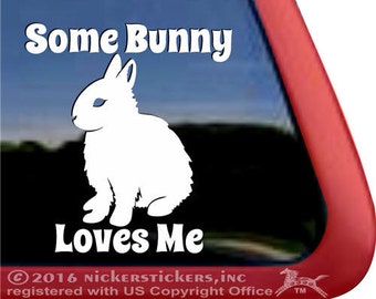 Some Bunny Loves Me | DC1029LUV | High Quality Adhesive Vinyl Dwarf Rabbit Window Decal Sticker
