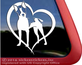 Rat Terrier Amor Coração | DC1018HRT | Adesivo de Vinil de Alta Qualidade NickerStickers® para Janela