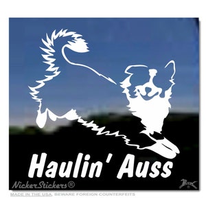 May include: White vinyl decal of an Australian Shepherd dog in a playful pose with the text "Haulin' Auss" below. The decal is on a blue background.