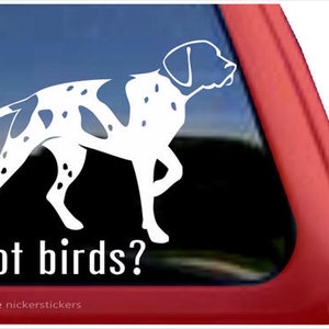 Könnte beinhalten: Weiße Silhouette eines Deutsch Kurzhaar Hundes mit dem Text "got birds?" und dem Copyright-Hinweis "©2012 nickerstickers".