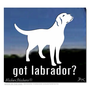 Got Labrador? | High Quality Adhesive Labrador Retriever Dog Vinyl Window Decal Sticker
