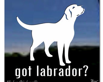 Hai un Labrador? / Adesivo per finestra in vinile di alta qualità con il cane Labrador Retriever